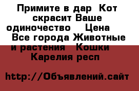Примите в дар. Кот скрасит Ваше одиночество. › Цена ­ 0 - Все города Животные и растения » Кошки   . Карелия респ.